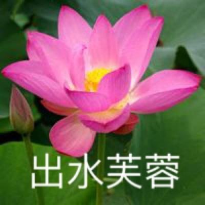 斗破苍穹手游百度版下载